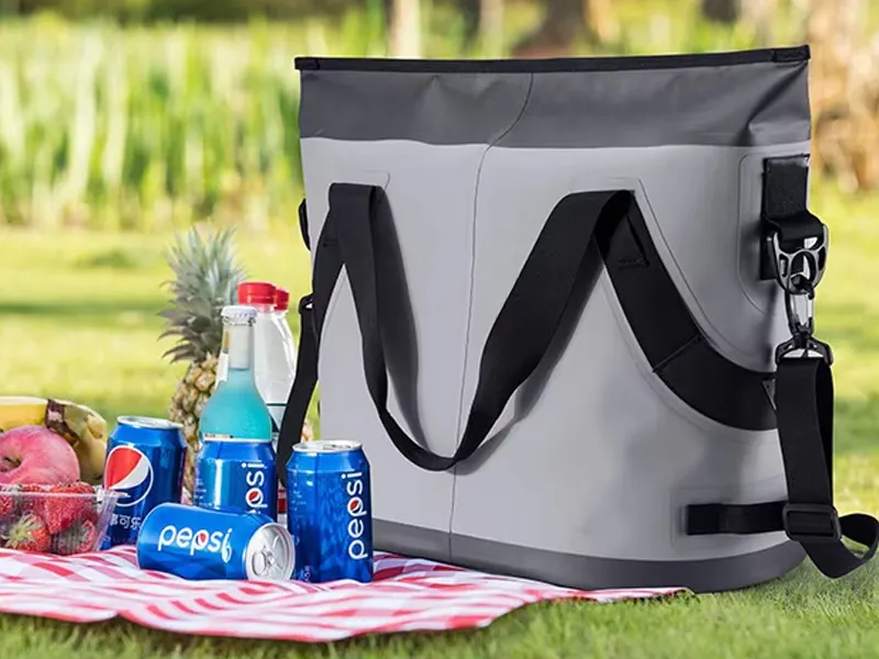 کیمپنگ میں آئس پیک بیگ کا کردار